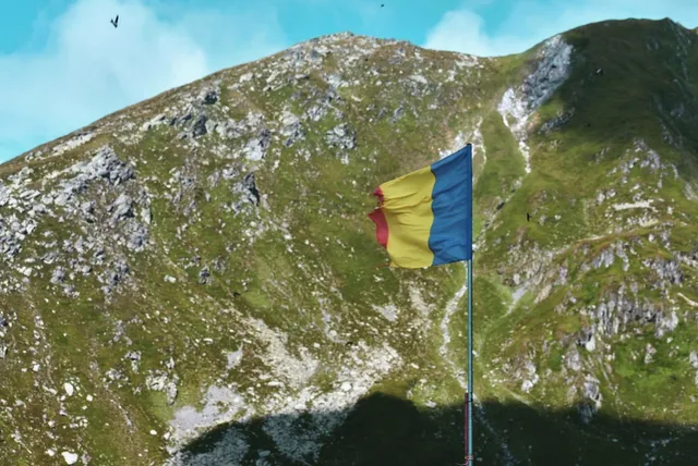 Fotografie ilustrativă pentru articolul „Guvernul cere încetarea violențelor și anunță analiza revendicărilor crescătorilor de ovine”