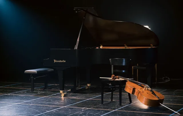 Fotografie ilustrativă pentru articolul „Duo Noema aduce Beethoven și Enescu la Palatul Culturii din Bistrița”
