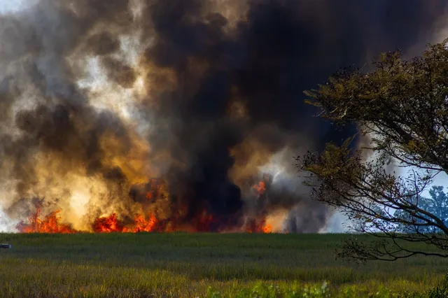 Fotografie ilustrativă pentru articolul „Pompierii teleormăneni au intervenit la 17 incendii de vegetație în trei zile”