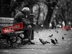 Un bărbat cu părul alb stă pe o bancă de lemn și hrănește câțiva porumbei pe un drum pietonal într-un parc.