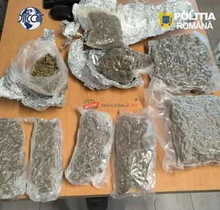 Mai multe pungi de plastic transparente conținând substanțe vegetale uscate sunt așezate pe o suprafață de lemn lângă folii de aluminiu.