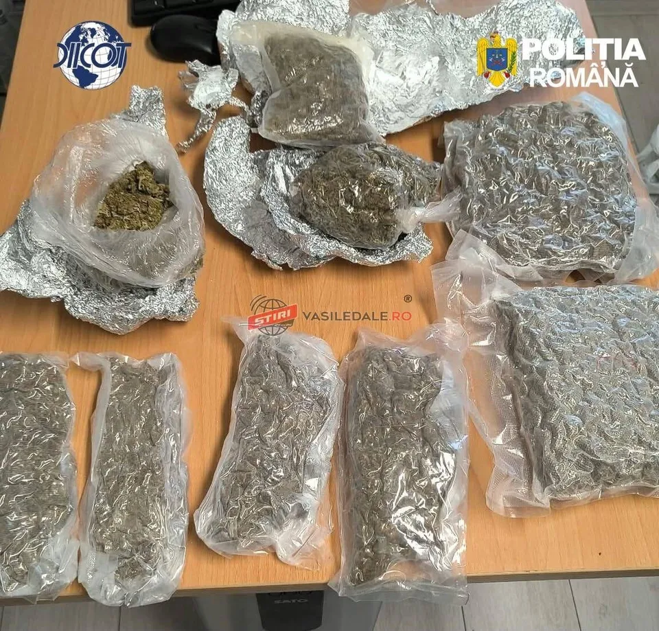 Mai multe pungi de plastic transparente conținând substanțe vegetale uscate sunt așezate pe o suprafață de lemn lângă folii de aluminiu.