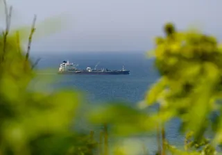 O navă mare de culoare închisă navighează pe o suprafață de apă sub un cer senin, fiind încadrată de vegetație verde în prim-plan.