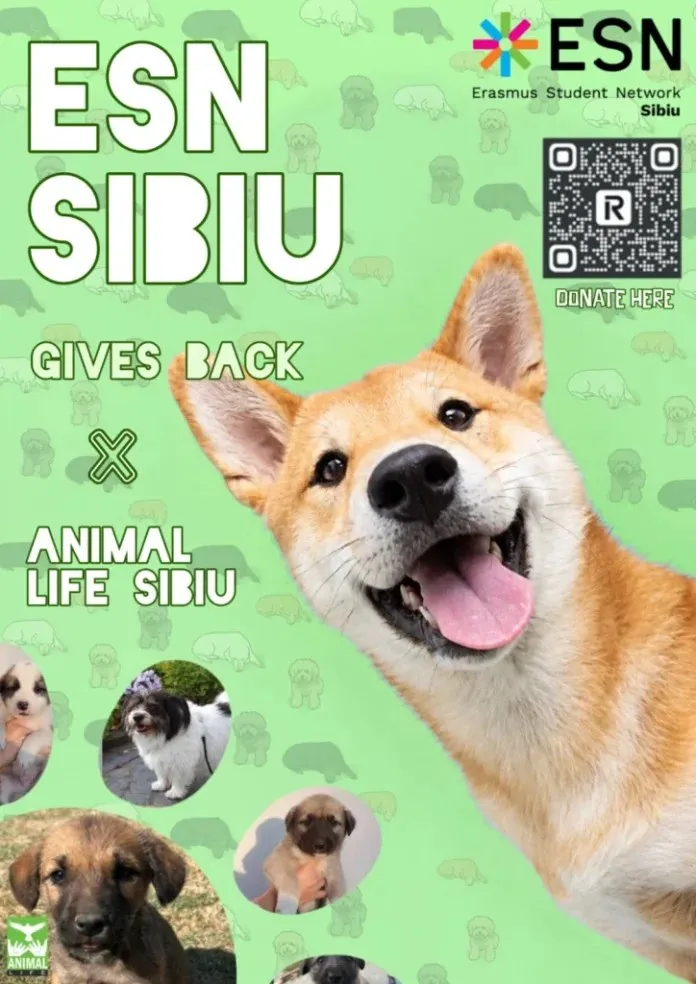 Un poster verde cu textul ESN Sibiu Gives Back și imagini cu câini pe un fundal cu siluete de animale.