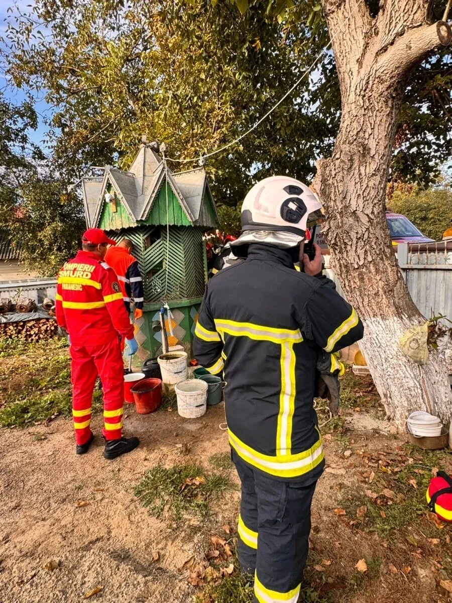 Două persoane în uniforme de pompieri, una roșie și una neagră cu benzi galbene, stau lângă o structură de lemn verde și un copac.