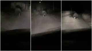 Un animal mare de culoare închisă traversează o stradă iluminată noaptea în trei cadre consecutive de supraveghere.
