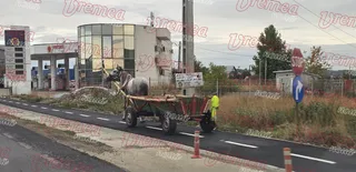 O căruță trasă de un cal circulă pe o bandă asfaltată marcată cu linii albe, lângă o clădire cu suprafețe vitrate și un panou publicitar.