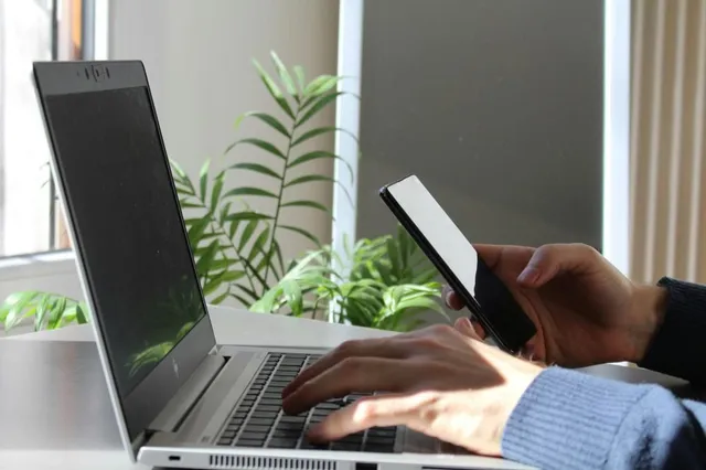 O persoană folosește un laptop și un telefon mobil pe o masă lângă o plantă verde de interior.