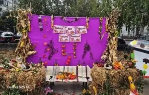 Un panou violet decorat cu plante uscate și fructe este așezat între două baloturi de fân, având o masă mică în față.