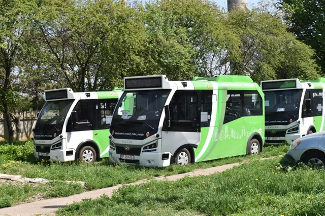 Trei microbuze albe și verzi sunt parcate pe un teren cu iarbă lângă un drum pavat, în fața unor copaci verzi.