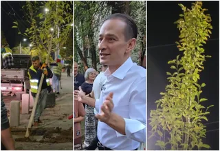 Un bărbat într-o cămașă albă aplaudă, în timp ce în fundal un lucrător plantează un copac pe un trotuar noaptea.