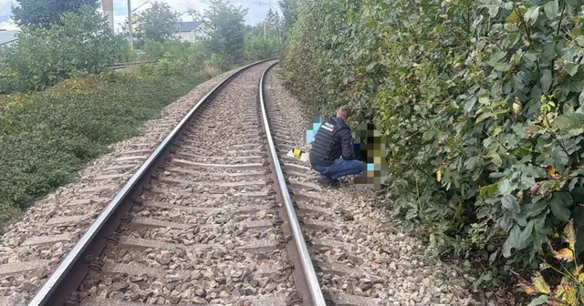 Un bărbat cu vestă neagră și pantaloni albaștri stă ghemuit pe marginea unei căi ferate lângă un tufiș verde.
