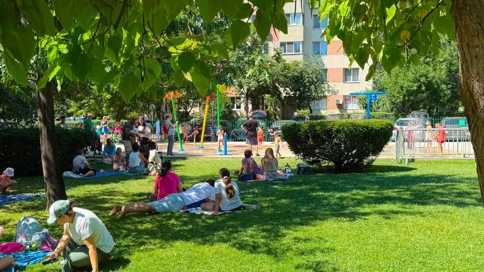 Oamenii stau sau se relaxează pe iarba verde dintr-un parc cu copaci și vegetație abundentă.