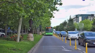 Un troleibuz verde circulă pe un drum asfaltat lângă un trotuar cu copaci, vegetație și mașini parcate pe partea stângă.