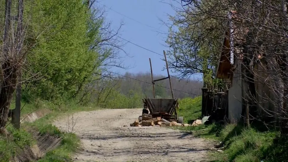 Un drum de țară neasfaltat trece printre vegetație și unelte agricole lângă o clădire și un copac.