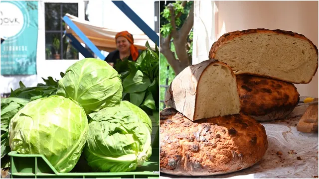 O imagine compusă prezintă în stânga trei căpățâni de varză verde într-o cutie și, în dreapta, câteva bucăți de pâine artizanală pe o suprafață de lucru.