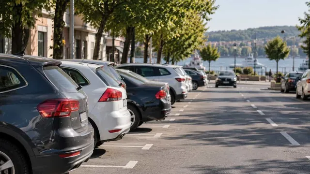 Mai multe mașini sunt parcate pe o stradă asfaltată lângă un râu, sub copaci verzi.