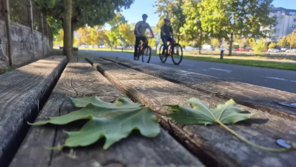 Două persoane merg cu bicicletele pe un drum asfaltat, în timp ce câteva frunze verzi sunt așezate pe o bancă de lemn în prim-plan.