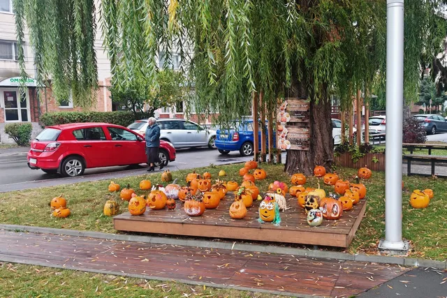 Dovleci decorați sunt așezați pe o platformă de lemn situată pe un covor de iarbă lângă un copac mare.