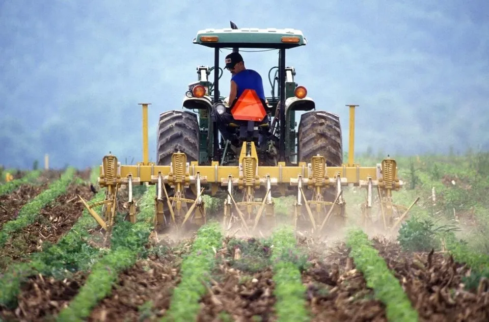 Un tractor cu o utilaj de arat trasează rânduri de plante verzi pe un câmp de pământ nâu sub un cer închis la culoare.