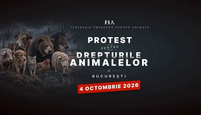 Un afiș pe fundal negru prezintă diverse animale, precum un urs, un câine, o pisică și o oaie, lângă textul despre un protest.