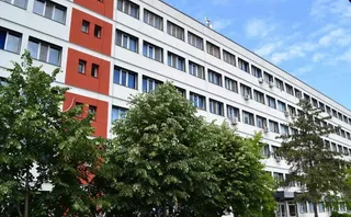O clădire albă cu ferestre și secțiuni portocalii este parțial acoperită de copaci verzi sub un cer albastru.