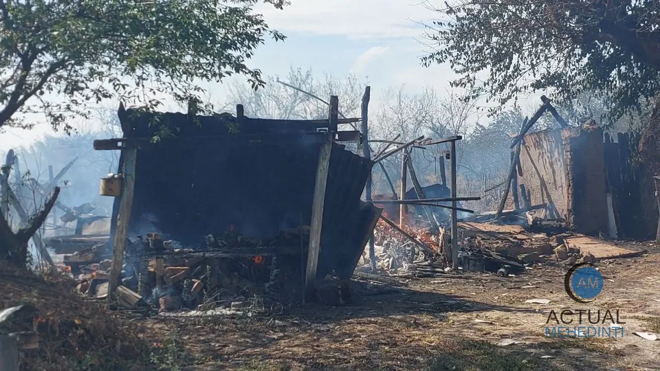 O structură de lemn carbonizată și o anexă parțial distrusă se află pe un teren cu resturi și cenușă sub arbori.