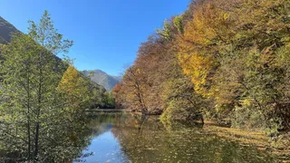Un râu curge printre maluri acoperite de copaci cu frunziș verde și galben sub un cer albastru.