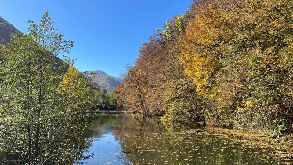 Un râu curge printre maluri acoperite de copaci cu frunziș verde și galben sub un cer albastru.