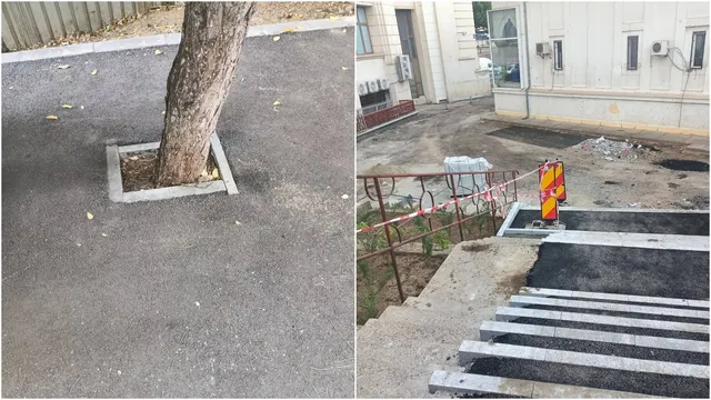 Fotografie din sursa articolului.