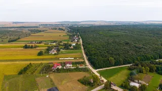 O vedere aeriană prezintă un drum îngust care separă câmpuri agricole cultivate de o pădure densă de copaci verzi sub un cer înnorat.
