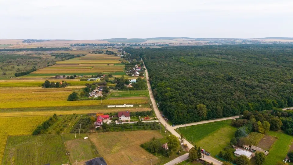 O vedere aeriană prezintă un drum îngust care separă câmpuri agricole cultivate de o pădure densă de copaci verzi sub un cer înnorat.