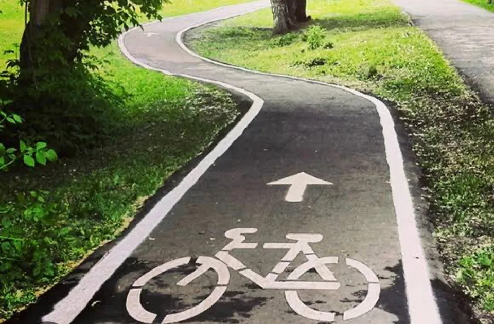 O pistă de biciclete asfaltată cu marcaje albe și un simbol de bicicletă este delimitată de iarbă și copaci.