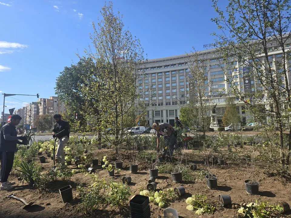 Oameni lucrează într-un teren cu pământ, plantând plante mici și arbori subliniați de ghivece negre dispuse pe sol.