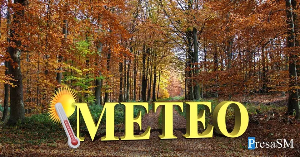 Un text galben cu cuvântul METEO și o pictogramă cu soare și termometru sunt suprapuse peste o pădure cu frunze colorate de toamnă.
