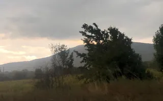 Copii de arbori și vegetație se ridică în fața unui deal sub un cer acoperit de nori cenușii.