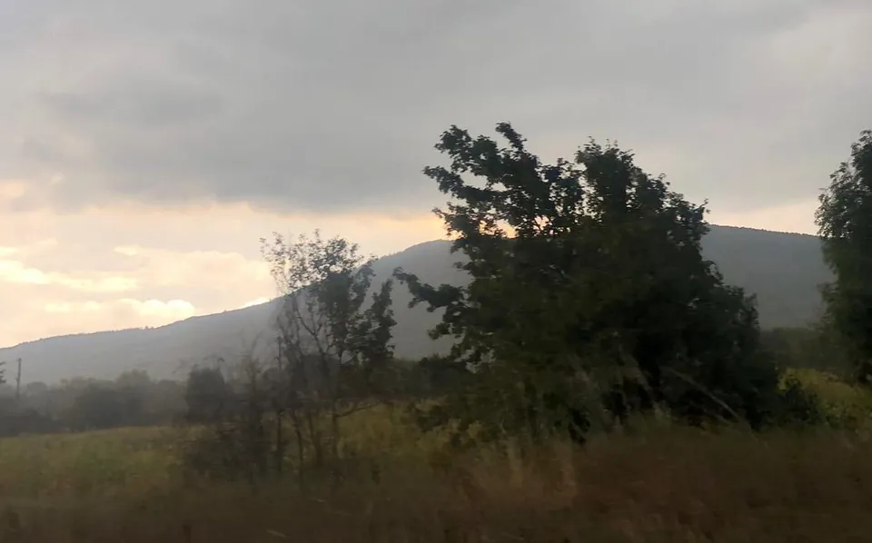 Copii de arbori și vegetație se ridică în fața unui deal sub un cer acoperit de nori cenușii.