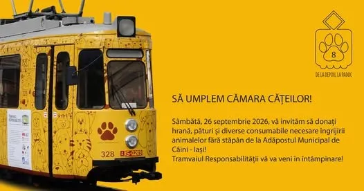 Un tramvai galben decorat cu desene de lupi și urme de labe este parcat pe un fundal de culoare galbenă cu text scris pe partea dreaptă.