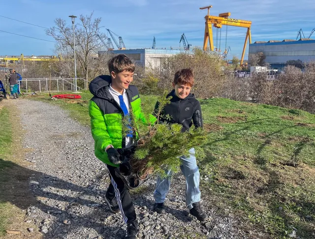 Doi copii stau pe un teren cu iarbă și țin împreună un mic arbust verde.