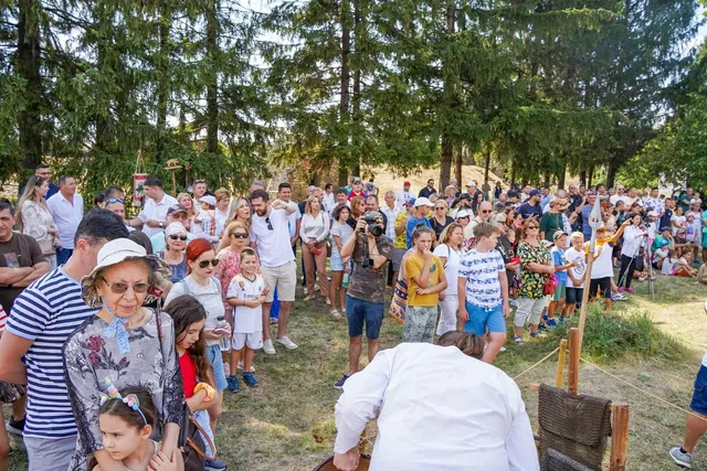 O mulțime de oameni stă în picioare pe o suprafață cu iarbă, în fața unor copaci înalți, privind spre un punct central neclar.