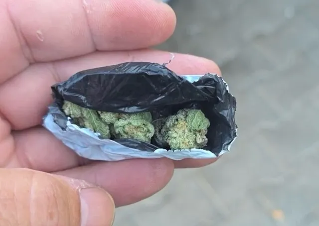 O mână ține un pachet mic, deschis, care conține câteva bucăți de plantă verde uscată.
