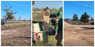 O persoană ține o casă de păsări din lemn, în timp ce în fundal se observă un teren de lucru și copaci sub un cer senin.