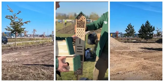 O persoană ține o casă de păsări din lemn, în timp ce în fundal se observă un teren de lucru și copaci sub un cer senin.