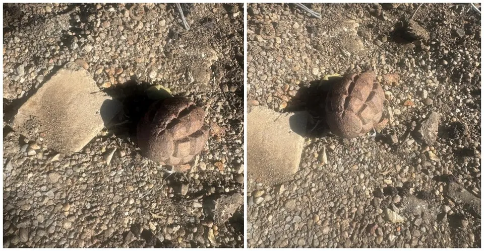 Un obiect metalic de culoare închisă cu suprafață striată este situat pe un teren cu pietriș și pământ uscat.