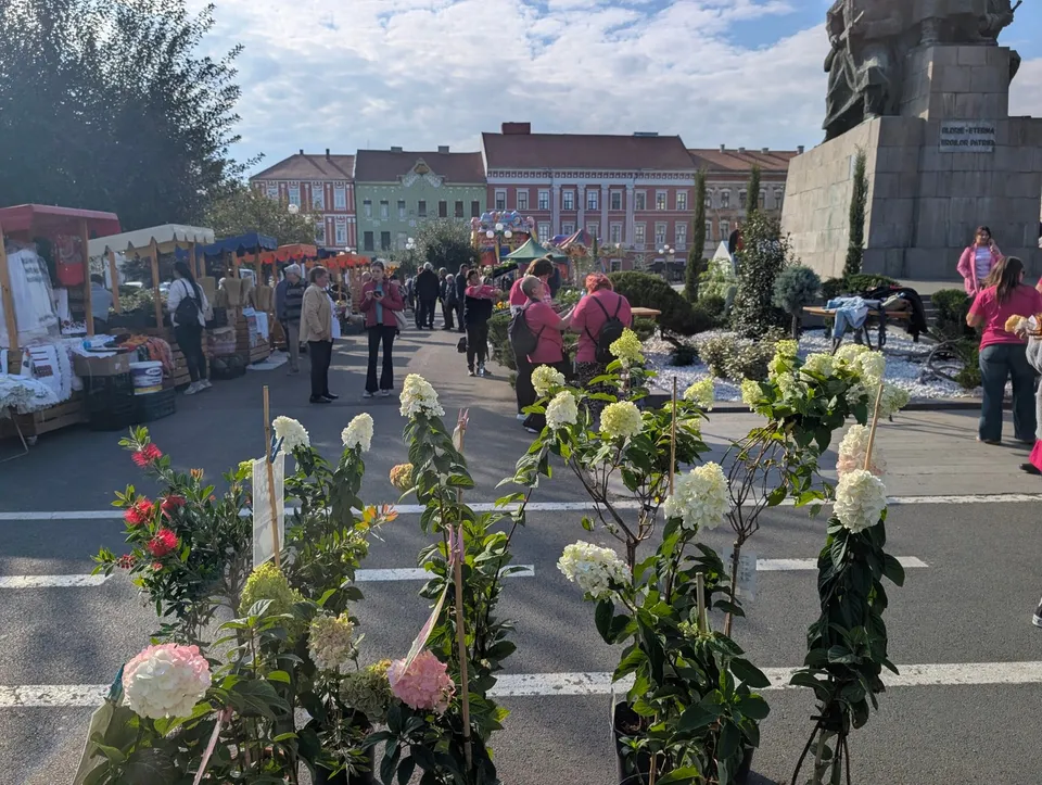 Oamenii merg pe o stradă cu tarabe de vânzare, plante în ghivece și clădiri colorate în fundal sub un cer înnorat.