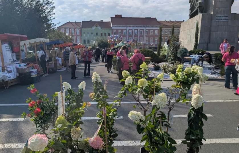 Oamenii merg pe un drum asfaltat printre tarabe de vânzare și plante cu flori albe și roz în prim-plan, sub un cer înnorat.