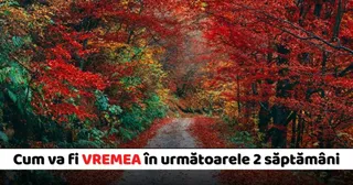 Un drum îngust traversează o pădure densă cu frunziș colorat în nuanțe de roșu, portocaliu și verde.