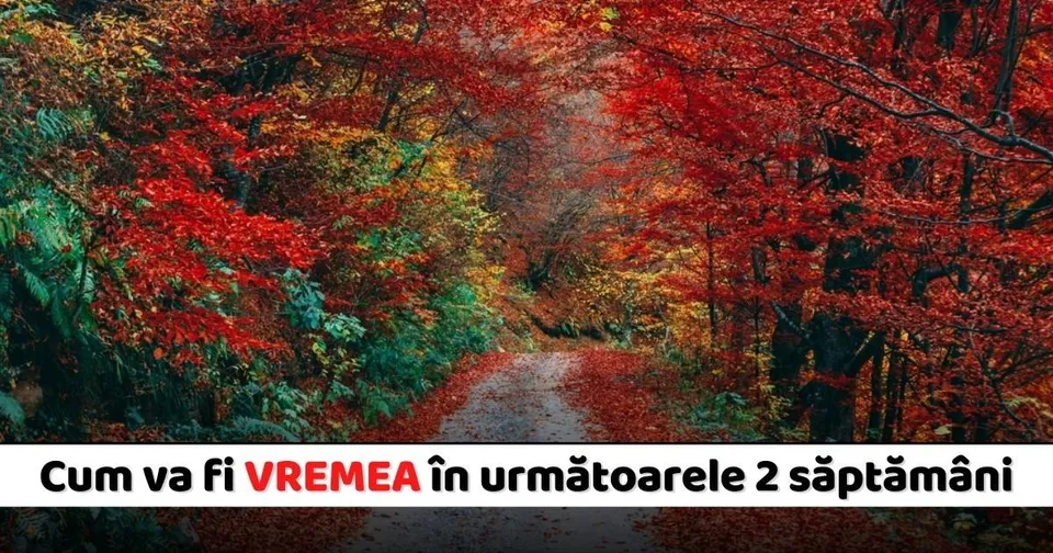 Un drum îngust traversează o pădure densă cu frunziș colorat în nuanțe de roșu, portocaliu și verde.