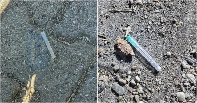 Două fotografii suprapuse arată un obiect lung și subțire pe asfalt și o seringă cu lichid transparent și capac albastru pe pământ.