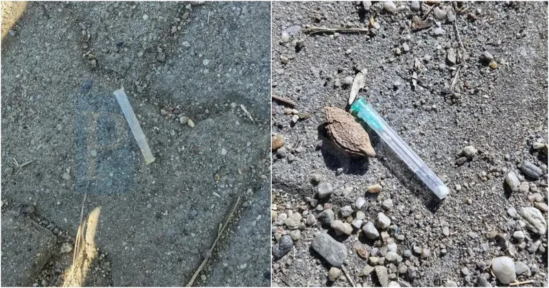 Două fotografii suprapuse arată un obiect lung și subțire pe asfalt și o seringă cu lichid transparent și capac albastru pe pământ.